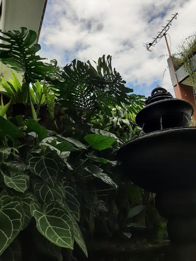 Omah Lumut Malang, Family 3 Bedrooms Free Pool Kolam Renang * Malang